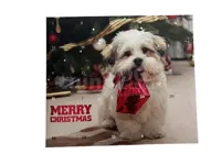 Boony Kerst Adventskalender Hondensnacks 24st - thumbnail