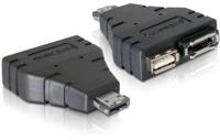 eSATA naar eSATA/USB converter - thumbnail