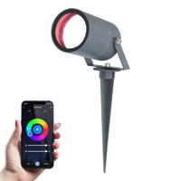 Spikey Smart prikspot - RGBWW - Wifi + Bluetooth - 5,5 Watt 345 lumen - IP65 Waterdicht - Bestuurbaar via app - Google Home, Amazon Alexa en Siri - Antraciet - thumbnail