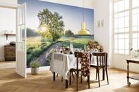 Noordwand Komar Colours Fotobehang Meadow Trail - 8-134 - thumbnail