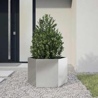 VidaXL Plantenbak zeshoek 69x60x45 cm roestvrijstaal - thumbnail
