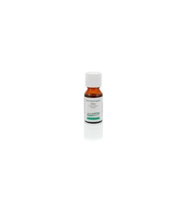 Ginkel's Dennennaaldolie 15 Milliliter