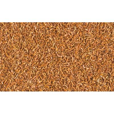 Repto Min menu 250 ml Vis Gebr. de Boon Tetra - Tetra Repto Min menu 250 ml Vis Gebr. de Boon Tetra - Tetra