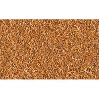 Repto Min menu 250 ml Vis Gebr. de Boon Tetra - Tetra - thumbnail