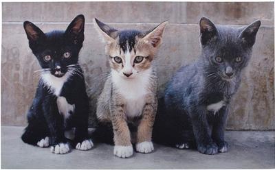 Deurmat katten / Esschert Design