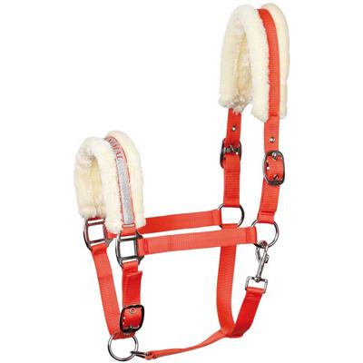 Harry's Horse Halster Lyrics V Harry's Horse Halster Lyrics V