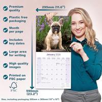 French Bulldog Calendar 2026 Square Dog Breed Wall Calendar - 16 Month - thumbnail