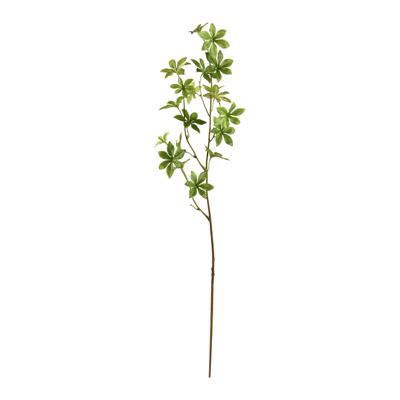 Enkianthus tak 85cm - groen