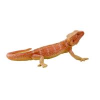 Mojo wildlife baardagaam - 381096 - thumbnail