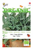 Zaden Organic Salie (BIO) Buzzy - Buzzy - thumbnail