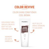 Goldwell Dualsenses Color Revive Color Giving Shampoo Cool Brown 250ml - thumbnail