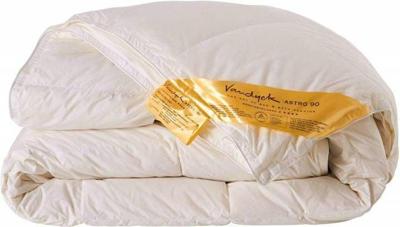 Vandyck Astro 90 duo donzen dekbed