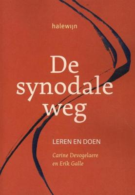 De synodale weg (Paperback)