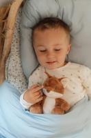 Little Dutch Forest Friends knuffel vos - thumbnail