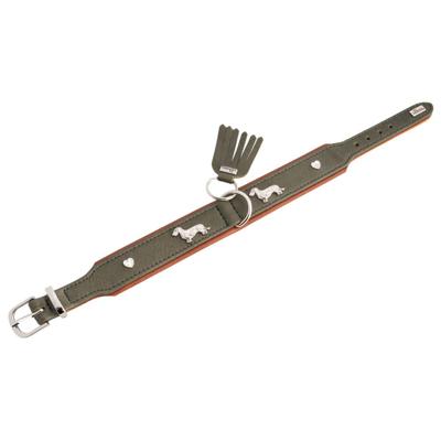 HUNTER Hondenhalsband München, groen, Maat: 37