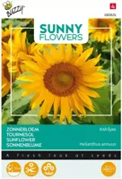 Zaden Sunny Flowers Zonnebloem Irish Eyes Buzzy - Buzzy - thumbnail