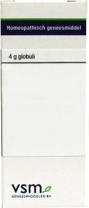 Anacardium orientale MK Anacardium orientale MK