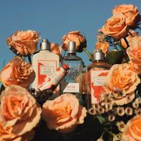 L&apos;Occitane Rose Body Lotion 250 ml Bodylotion - thumbnail