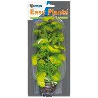 Easy Plant Middel 20 Cm Nr. 10 aquaria Superfish - Superfish - thumbnail