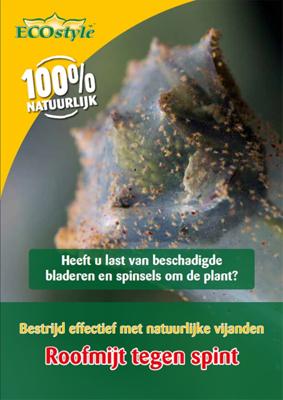 Roofmijt tegen spint ECOstyle - Ecostyle natuurlijke vijanden