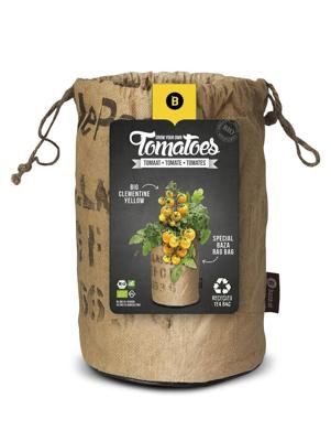Seeds & Tomatoes rags bio clementine yellow