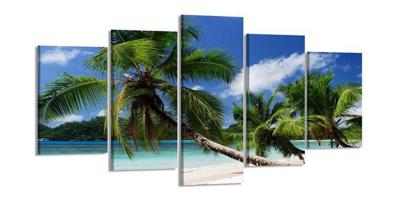 Schilderij - Palmboom, Groen/Blauw, 200X100cm, 5luik