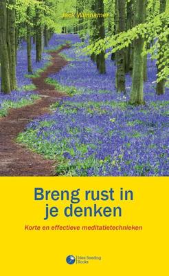 Breng rust in je denken - Jack Wijnhamer - ebook