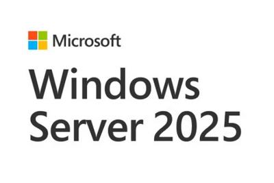 Microsoft Windows Server CAL 2022 Client Access License (CAL) 1 licentie(s)