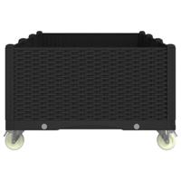 Plantenbak met wielen 150x80x54 cm polypropeen zwart - thumbnail