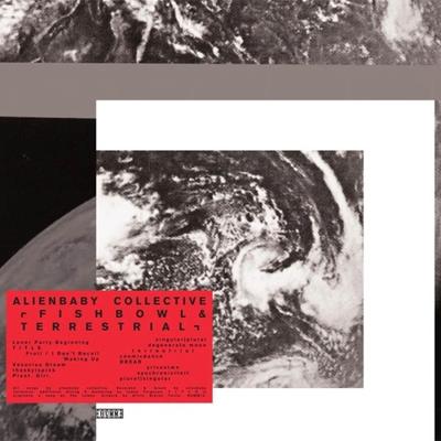 Fishbowl / Terrastrial - LP (5060179706740) Fishbowl / Terrastrial - LP (5060179706740)