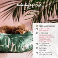 YUUP! TROPIC PARFUM LUX & NATURE - thumbnail