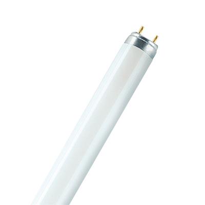 OSRAM HOMELIGHTING TL-lamp Energielabel: G (A - G) G13 30 W Koudwit 840 Buis (Ø x l) 26 mm x 908.8 mm 1 stuk(s)