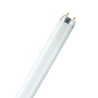 OSRAM HOMELIGHTING TL-lamp Energielabel: G (A - G) G13 30 W Koudwit 840 Buis (Ø x l) 26 mm x 908.8 mm 1 stuk(s) - thumbnail