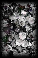 Moooi Carpets - Eden Queen B&W - 200x300 cm Vloerkleed - thumbnail