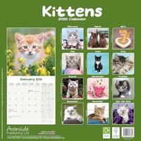 Kittens Kalender 2026 - thumbnail