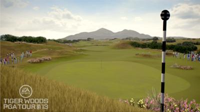 Tiger Woods PGA Tour 2013
