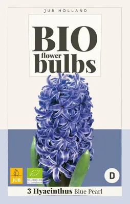 Jub Hyacinthus blue pearl bio 3st