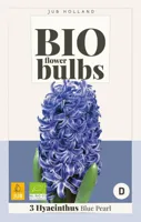 Jub Hyacinthus blue pearl bio 3st - thumbnail