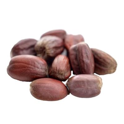 Jojoba olie - Haar & gezicht - Biologisch, Puur & Koudgeperst