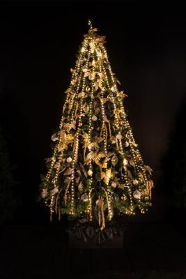 Chain Tree Cascade 960Led en 16 x 180 cm Led Classic Warm - 4M l Anna's Collection - Annas collection