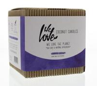 Kokosnootkaars - Charming Chestnut - thumbnail