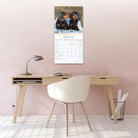 Teckel Kalender 2026 - thumbnail