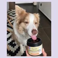 Dogsuppy Anti-Anaalklier Probiotica Forte Chewies - thumbnail