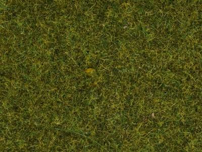 NOCH 07117 Wildgras Beige, Bruin