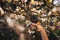 Fiskars Powerstep 1-2-3 snoeischaar aambeeld - 1000575 - 1000575 - thumbnail