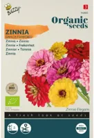 Zaden zinnia dahliabloemige 1.5 gram Organic Tuinplus - Tuinplus - thumbnail
