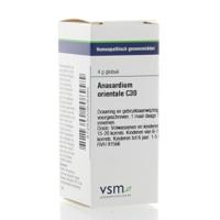 VSM Anacardium orientale C30 4 Gram - thumbnail