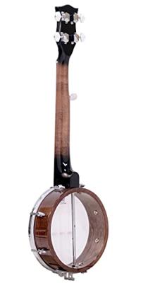Gold Tone PLUCKY open back reisbanjo met gigbag