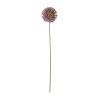 Kunstbloem allium - paars - 64 cm - thumbnail