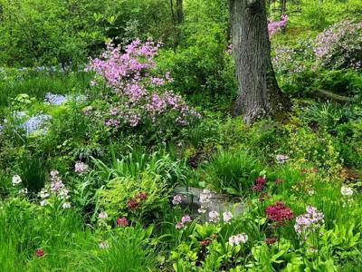 Tuinschilderij lentetuin 130x70cm Customize-it - Customize it